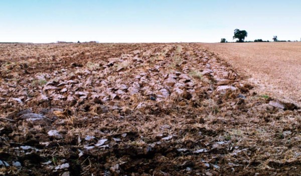 Hlubok&aacute; orba v&yacute;znamně po&scaron;kozuje p&yacute;r plaziv&yacute;