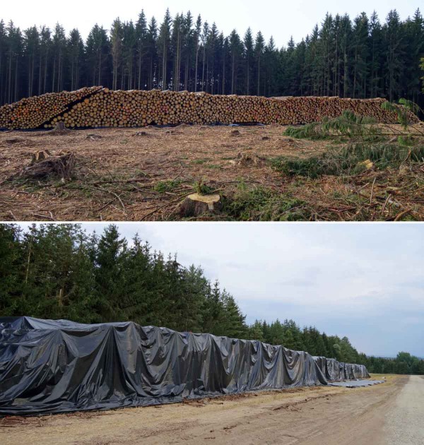Moderní aplikace EDN na velké objemy dřeva Moderní aplikace EDN na velké objemy dřeva