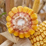 Novinky v&nbsp;zrnov&eacute;m segmentu značky DEKAB