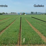 Pr&iacute;pravky Galleko a&nbsp;ich v&yacute;znam v&nbsp;obdob&iacute; sucha