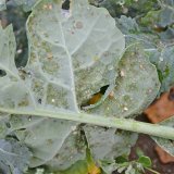 N&aacute;lety m&scaron;ic do sac&iacute;ch past&iacute; Johnson-Taylor v&nbsp;roce 2018