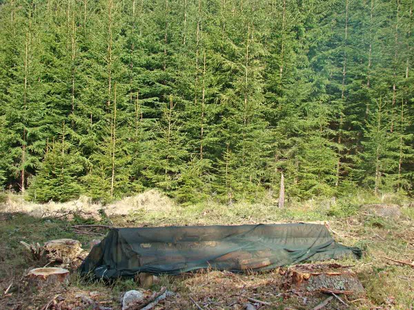 Aplikace insekticidn&iacute; s&iacute;tě