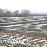 Aktu&aacute;ln&iacute; přehled ochrany poln&iacute;ch plodin - leden a&nbsp;&uacute;nor 2020