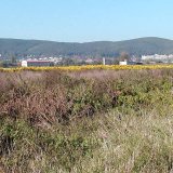 Hrabo&scaron; poln&iacute; st&aacute;le aktu&aacute;ln&iacute; nejen pro zemědělce