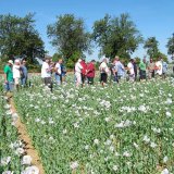 Dny pro m&aacute;k s&nbsp;množstv&iacute;m informac&iacute;