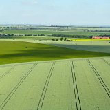 Z&aacute;kladn&iacute; l&aacute;tky v&nbsp;ochraně rostlin