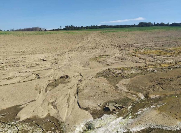  Obr. 17: Řepka pěstovan&aacute; v&nbsp;orebn&eacute; technologii - erozně neohrožen&yacute; pozemek