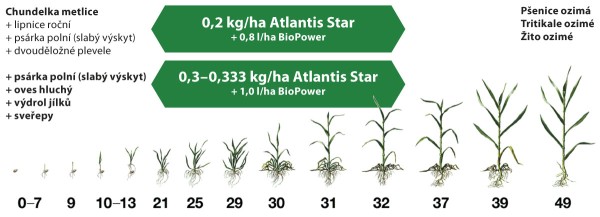 Z&aacute;kladn&iacute; aplikačn&iacute; sch&eacute;ma pro použit&iacute; př&iacute;pravku Atlantis Star