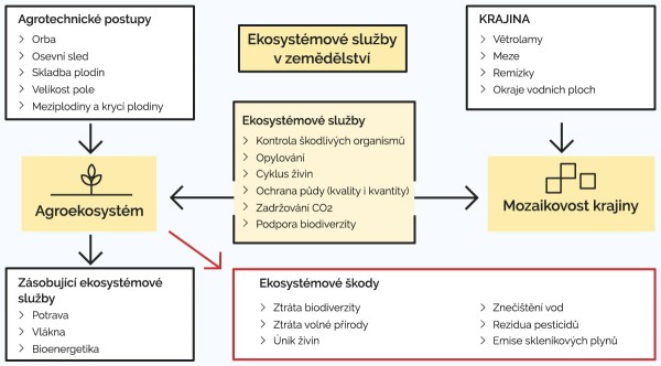 Sch&eacute;ma: Ekosyst&eacute;mov&eacute; služby - jejich klady a&nbsp;z&aacute;pory pro zemědělstv&iacute; - vliv lidsk&eacute; činnosti na ekosyst&eacute;mov&eacute; služby (volně převzato z&nbsp;Power A. G. 2010. Ecosystem services and agriculture: tradeoffs and synergies. Phil. Trans. R. Soc.; zpracovala: Nela Glor&iacute;kov&aacute;)