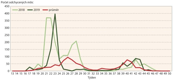 Graf 4: M&scaron;ice makov&aacute; - průběh migrace za celou ČR
