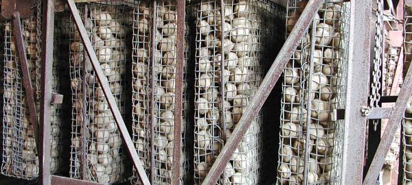 Principy skladov&aacute;n&iacute; brambor