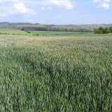 Rok 2018 na moravsk&yacute;ch pol&iacute;ch