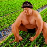 Jak zv&yacute;&scaron;it rentabilitu pěstov&aacute;n&iacute;?