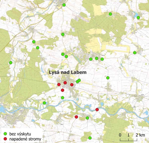 Mapa 2: V&yacute;skyt vrtule ořechov&eacute; v&nbsp;Lys&eacute; nad Labem (ohnisko) a&nbsp;okol&iacute;