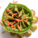 Jak na ochranu proti makovicov&yacute;m &scaron;kůdcům v&nbsp;roce 2017