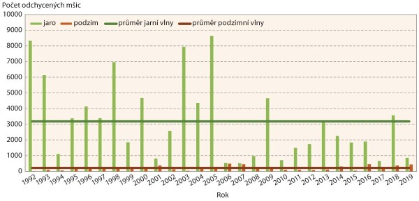 Graf 7: Kyjatka osenn&iacute; - aktivita během jarn&iacute; a&nbsp;podzimn&iacute; letov&eacute; vlny