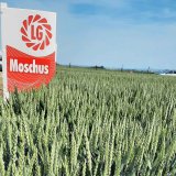 A, B, C, E - kvalita pro každ&yacute; podnik