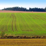 Komplexn&iacute; podzimn&iacute; herbicidn&iacute; ochrana obilnin - Mertil