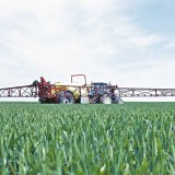 Novela rostlinolékařského zákona zejména upřesňuje podmínky pro používání přípravků na ochranu rostlin Novela rostlinolékařského zákona zejména upřesňuje podmínky pro používání přípravků na ochranu rostlin