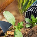 Jak na zaplevelen&iacute; obilin na jaře?<br>Kvalitn&iacute; a&nbsp;inovovan&aacute; ře&scaron;en&iacute; je k&nbsp;dispozici