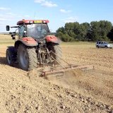 Vliv rozd&iacute;ln&eacute;ho způsobu zpracov&aacute;n&iacute; půdy na v&yacute;nosov&eacute; parametry ozim&eacute; řepky olejky