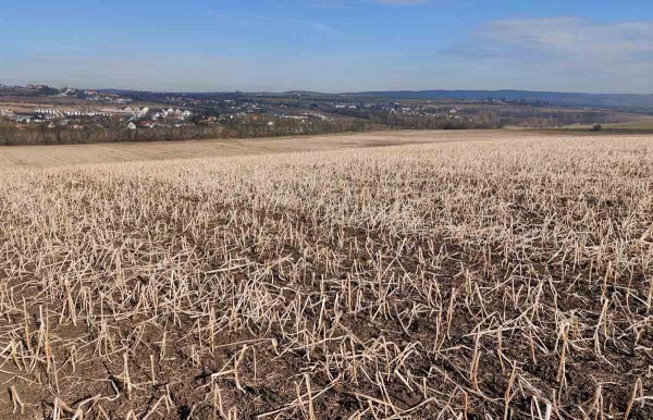 Vymrzl&aacute; směska meziplodin na jaře 2021