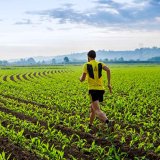 Sulcotrek - Cesta k&nbsp;čist&eacute; kukuřici