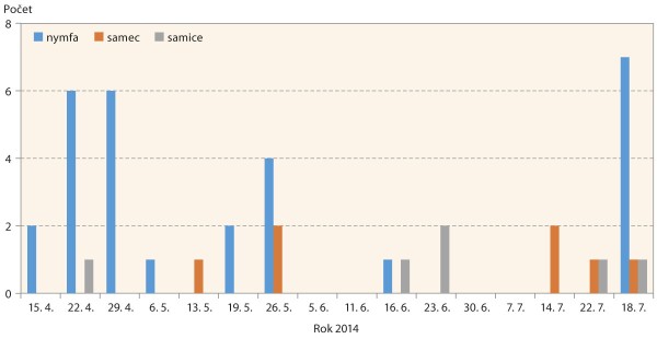 Graf 1: V&yacute;skyt star&scaron;&iacute;ch nymf a&nbsp;dospělců 1. a&nbsp;2. generace od zač&aacute;tku roku do žn&iacute; v&nbsp;průhledn&yacute;ch misk&aacute;ch v&nbsp;roce 2014; po nadprůměrně tepl&eacute; země 2013/14 se kř&iacute;sek l&iacute;hnul již koncem března a&nbsp;star&scaron;&iacute; nymfy a&nbsp;dospělci byli odchyceni již v&nbsp;dubnu