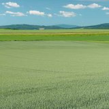 V&yacute;sledky dvoulet&eacute;ho pokusu - hled&aacute;n&iacute; antistresov&yacute;ch opatřen&iacute;