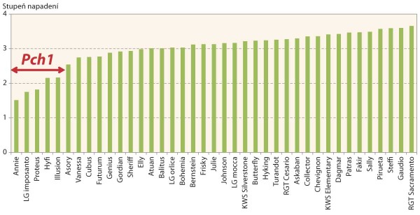 Graf 1: Reakce odrůd ozim&eacute; p&scaron;enice na inokulaci st&eacute;blolamem v&nbsp;roce 2019