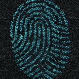 Acceleron Elite - komplexn&iacute; mořen&iacute; řepky Dekalb