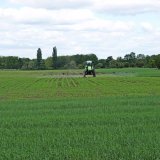 Spolehlivé odplevelení kukuřice od společnosti AgroProtec Spolehlivé odplevelení kukuřice od společnosti AgroProtec