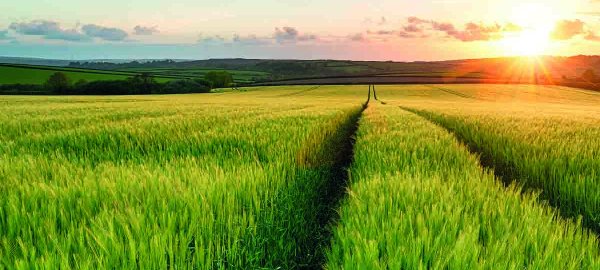 Nejste si jisti v&yacute;běrem listov&eacute; v&yacute;živy a&nbsp;stimulace? V&iacute;me, jak na to, a&nbsp;porad&iacute;me v&aacute;m