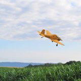 Biologick&aacute; ochrana a&nbsp;v&yacute;živa v&nbsp;poln&iacute; produkci a&nbsp;zelenině