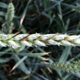 N&aacute;lety m&scaron;ic do sac&iacute;ch past&iacute; Johnson-Taylor v&nbsp;roce 2016