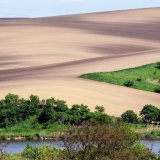 Hnojen&iacute; fosforem v&nbsp;naplaven&yacute;ch půd&aacute;ch