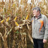 Zrnov&yacute; matador v&nbsp;&Uacute;KZ&Uacute;Z i&nbsp;na poli