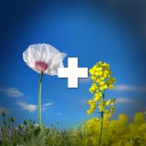 Začněte posouvat hranice v&yacute;nosu