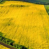 ES Capello Protect - Prvn&iacute; na česk&eacute;m trhu