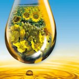 Boscalidov&yacute; ochrann&yacute; &scaron;t&iacute;t - unik&aacute;tn&iacute; ře&scaron;en&iacute; ochrany řepky od BASF - V&scaron;estrann&yacute; fungicid Pictor<sup>&reg;</sup>