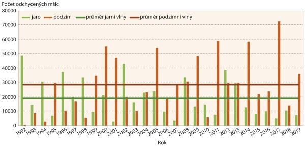 Graf 5: M&scaron;ice střemchov&aacute; - aktivita během jarn&iacute; a&nbsp;podzimn&iacute; letov&eacute; vlny