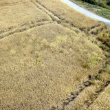 Půdn&iacute; blok a&nbsp;jeho parametry ve vztahu k&nbsp;obhospodařov&aacute;n&iacute; (2) - Hranice půdn&iacute;ho bloku a&nbsp;souvrať