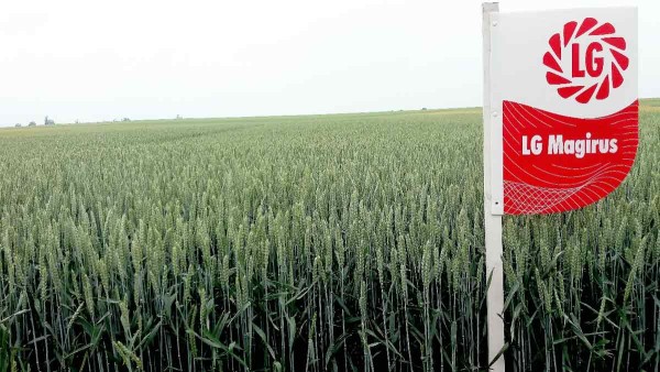 LG Magirus - vysok&yacute; v&yacute;nos s&nbsp;velmi vysokou HTZ