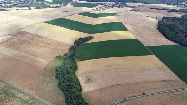 P&aacute;sov&eacute; stř&iacute;d&aacute;n&iacute; plodin