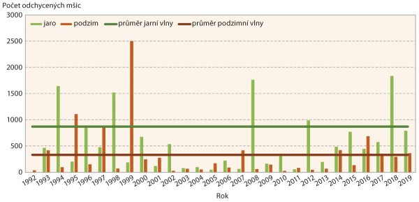 Graf 3: Mšice maková - aktivita během jarní a podzimní letové vlny Graf 3: Mšice maková - aktivita během jarní a podzimní letové vlny
