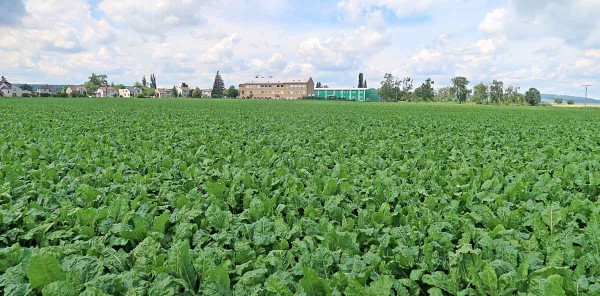 Porost 2. července 2020