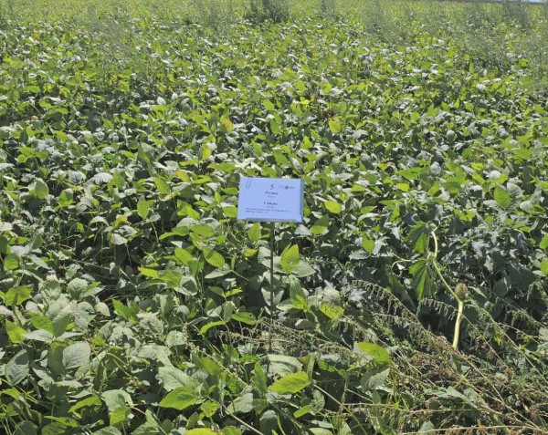 PRE Proman + Campus - 2,0 + 1,0 l/h