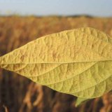 Leto&scaron;n&iacute; počas&iacute; s&oacute;je nepř&aacute;lo