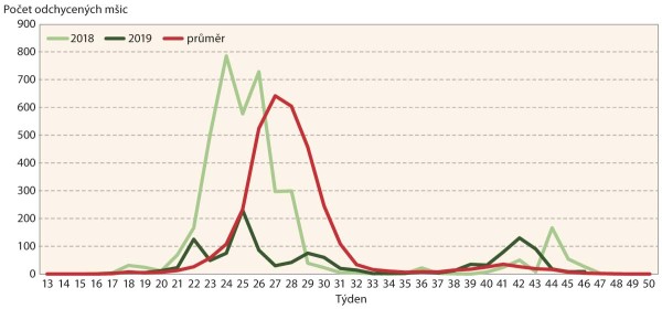 Graf 8: Kyjatka osenn&iacute; - průběh migrace za celou ČR