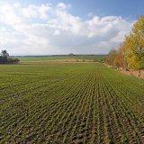 BeFlex, Chlortoluron 500 a&nbsp;Danadim Progress - spolehliv&iacute; str&aacute;žci ozim&yacute;ch obilnin